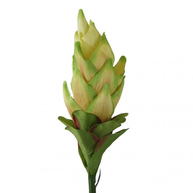 Kurkuma sztuczna 50cm